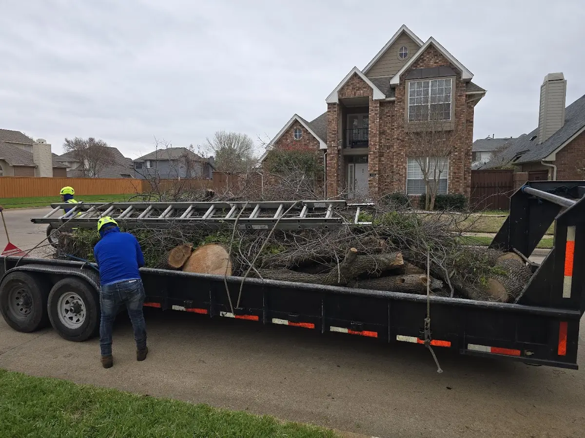 Expert Tree Fertilization with proper safety equipment in Thomson